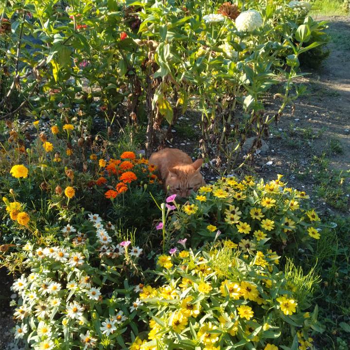 B27e1ff5 c8ce 46f8 8b22 7b684b526613 1692828725121