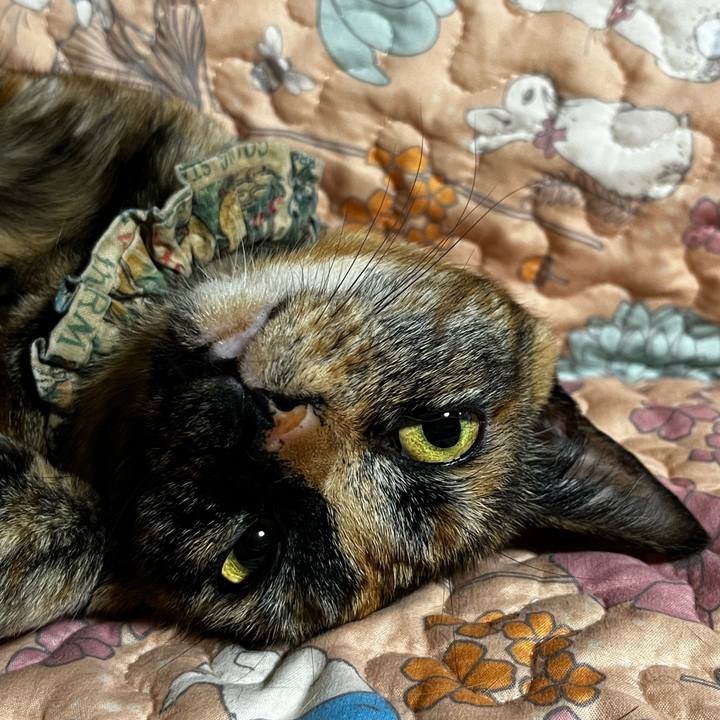 B27e4939 a70f 46df a768 ae9d2656576b 1713700227391