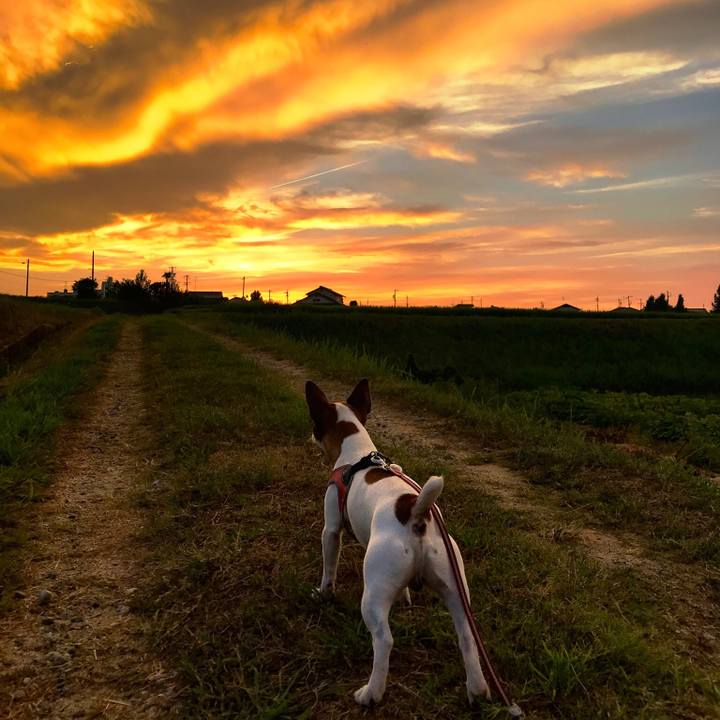 B27e7efe 1dd8 44ea 9d14 7af2aca52ec5 1533209532229