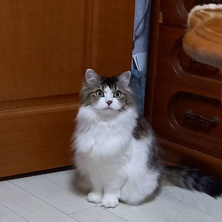 B27ecf7b a415 458a 89b0 7e39f09d4526 1642771831231