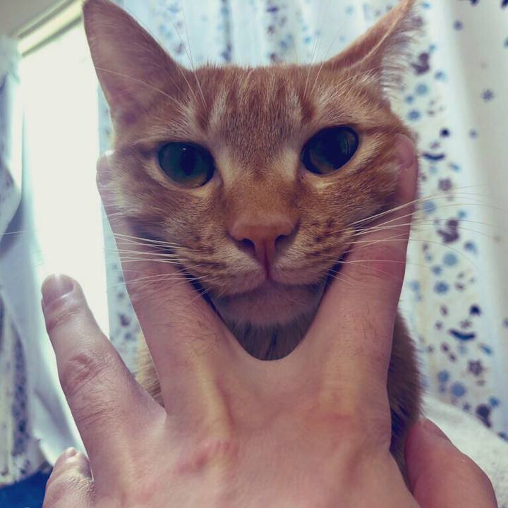 B27ed75b 008a 465a 93cb 3fe68545e923 1592231345059