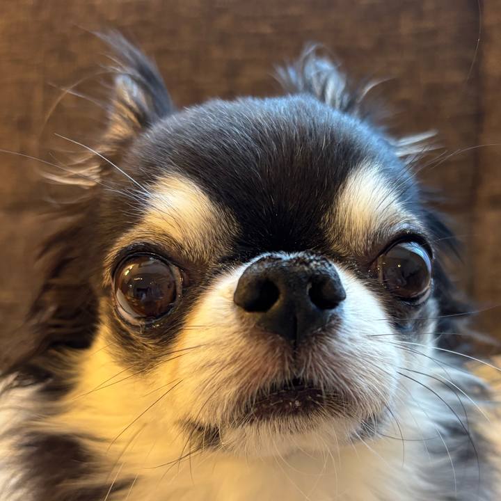 B27ee90f 51b4 4bb1 8989 ee09d6ee72a2 1745885246323