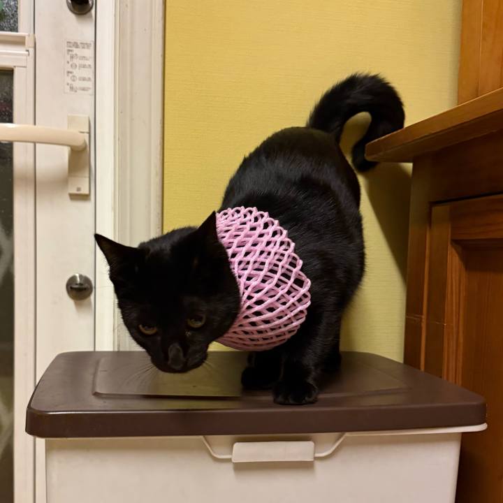 B27ef4c9 135f 4e67 a95f 7b95a262a4ca 1763551608736