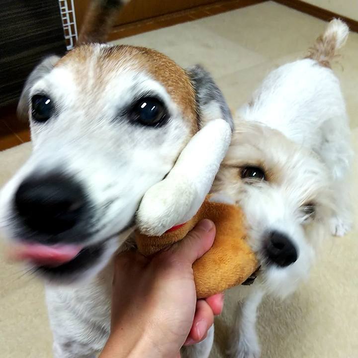 B27f0003 7e91 4a2d 9911 72fd0e3296b1 1561194269866