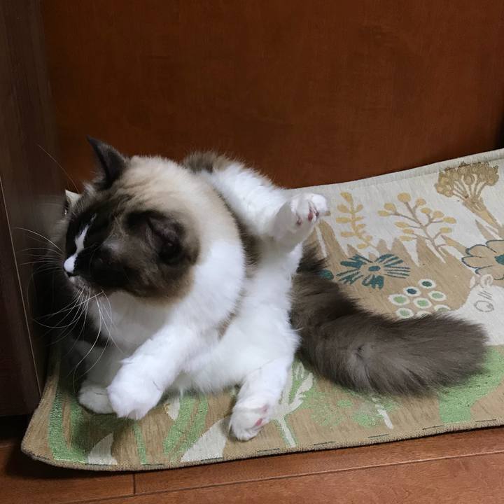 B27f07d9 d0c3 4301 9ee4 ebdf91d4e4d7 1510578331839