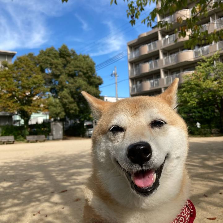 B27f1015 c03c 44fe 9984 df3b0c79e75a 1632985058234