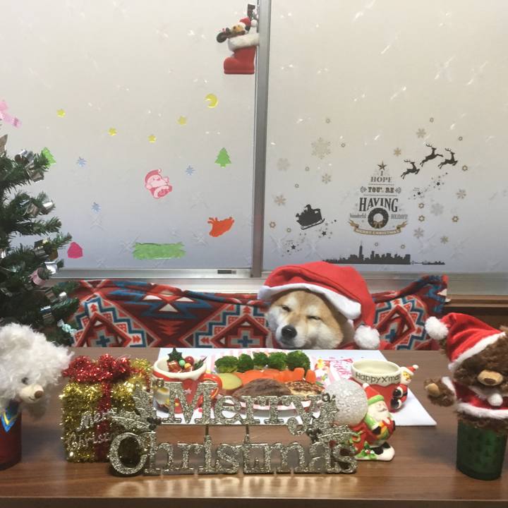 B27f298c 91cb 458c 82b4 60a3d1ef82ef 1545641571582