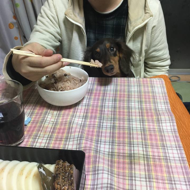 B27f2eaa d75e 407a a33c e36ae5748745 1514715485068