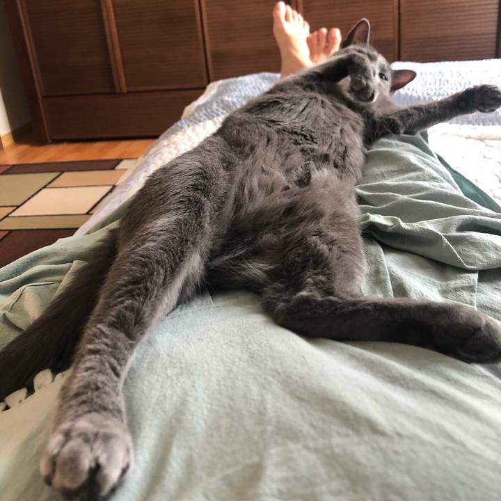 B27f63fd 261a 4e77 9f31 f7aa3f4e6336 1593781626432