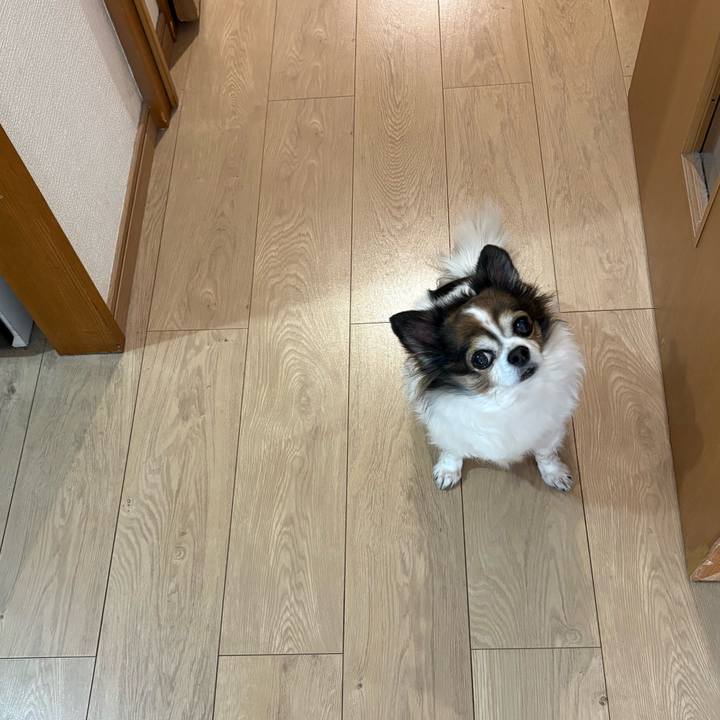 B27f8406 4d4f 4f9c 8155 95079621f9c2 1773458199869