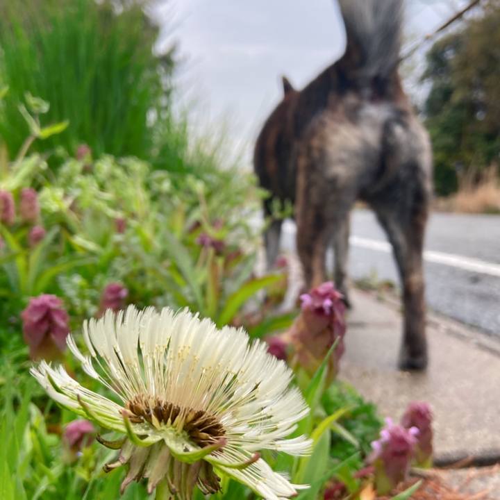 B27fb9d4 52e0 447f beba 2bc11d068d95 1587547809228