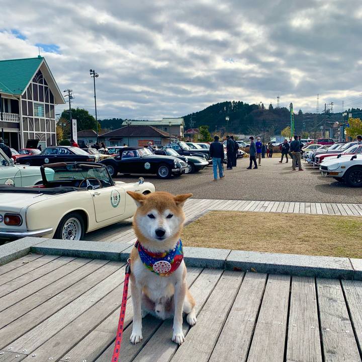 B27fb9d4 931a 4d33 a171 12a41e5c5505 1638691607154