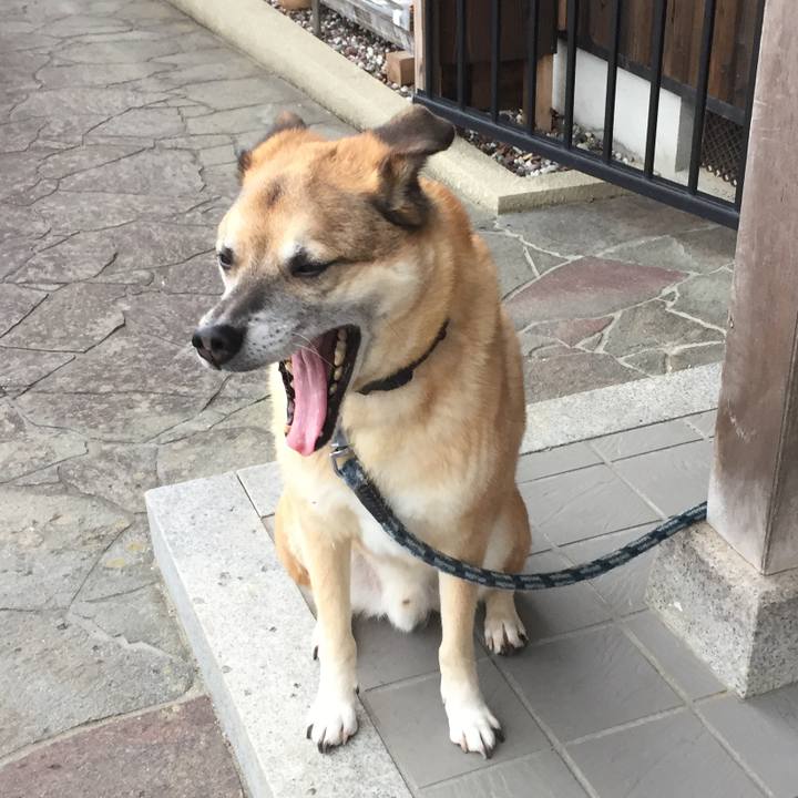 B27fc14f d1ed 424d b3af 4fcaafc11ae1 1549623124594