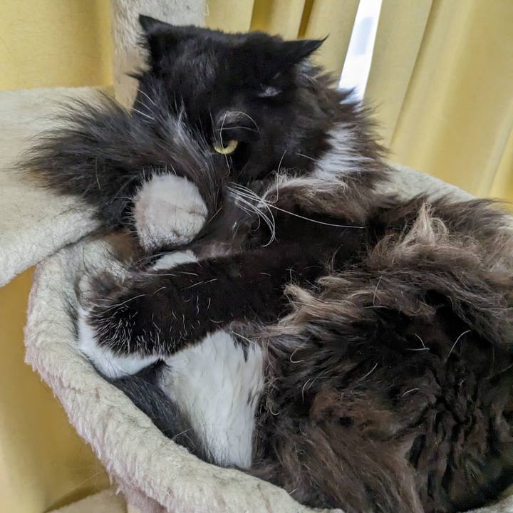 B27fc151 a074 4ed1 9398 fa6f1d1c61f9 1685235252504