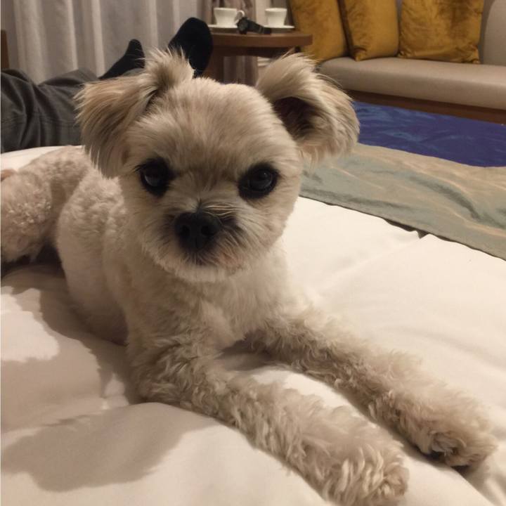 B27fc4b1 0ada 4644 beb8 154145715862 1516190476022