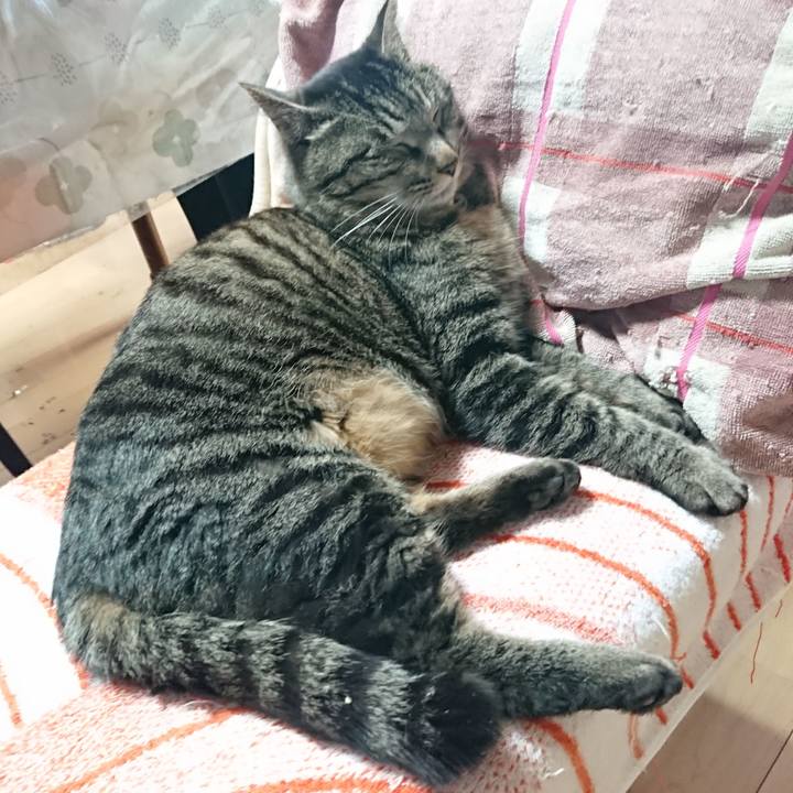 B280029c e6b6 4d30 a6c5 b6af8335becd 1648520434462