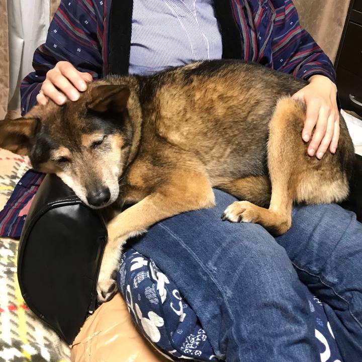 B2800c9b 4a79 4ea7 8895 08c2fc650709 1511006662178