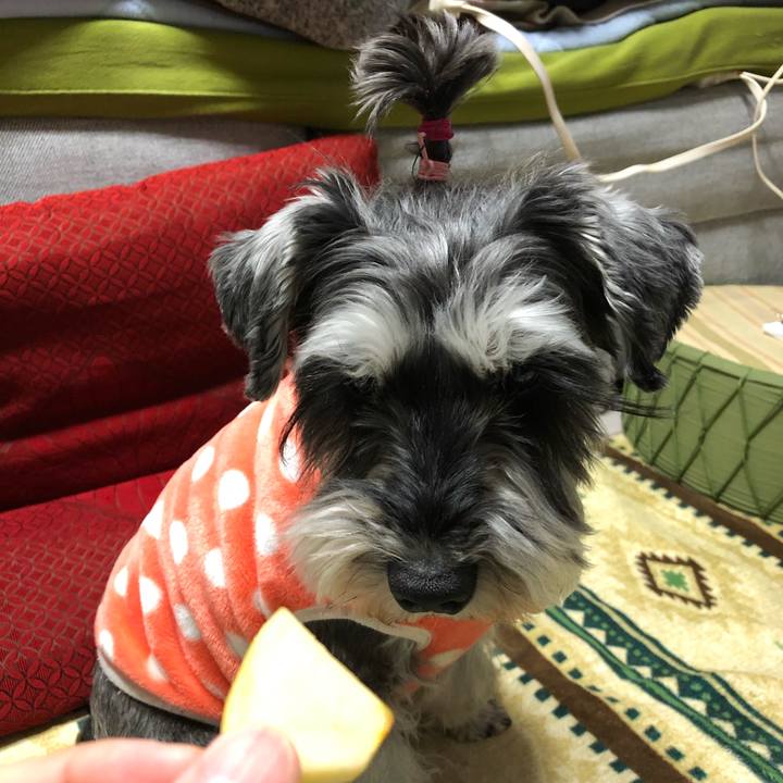 B2804647 83a5 43f1 ad8c b3252079a11c 1644844969797