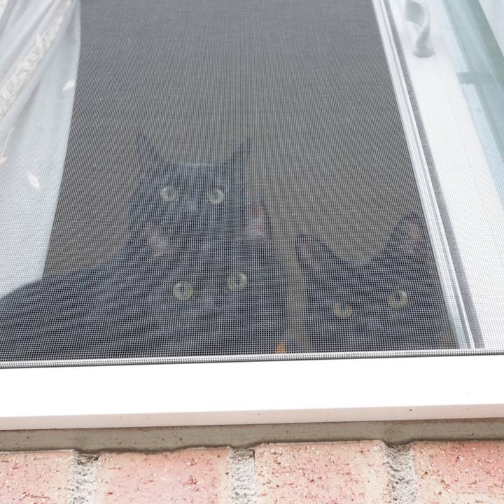 B2806ab8 cd1f 414f af65 a8e6028437b8 1544433084964