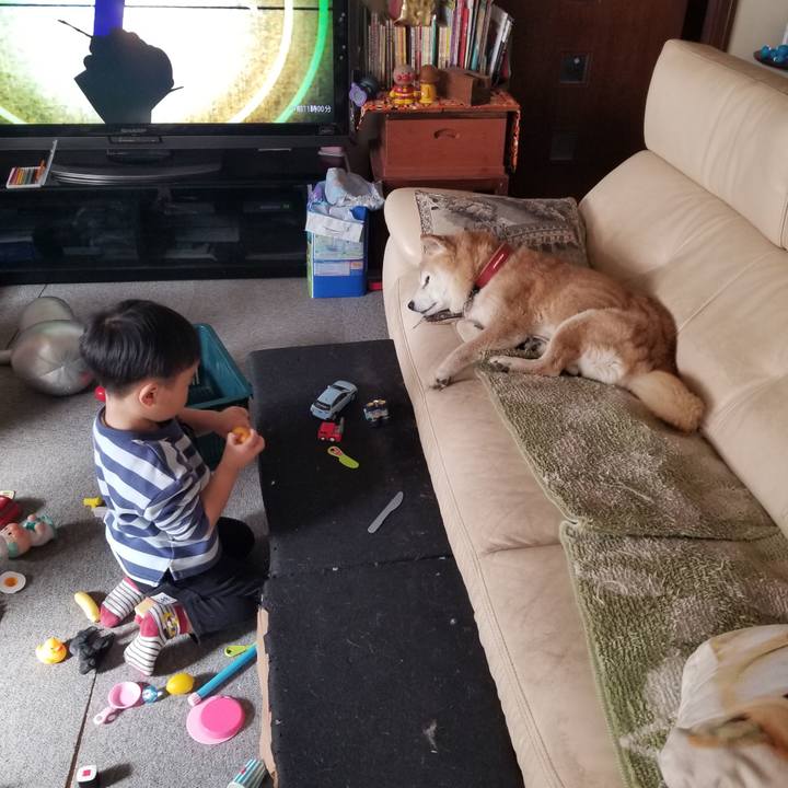 B2808445 fda6 4873 b74c be296c99ed4e 1771554255975