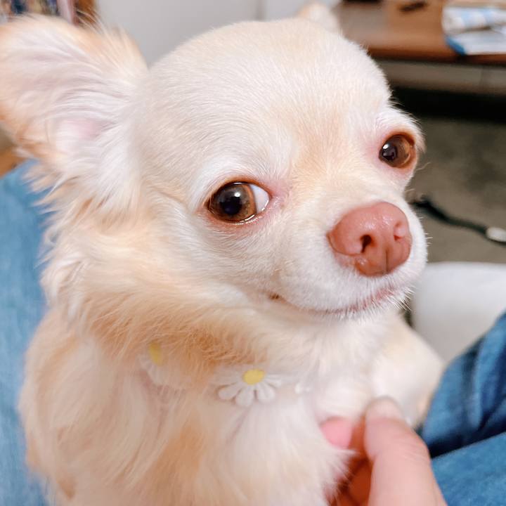 B28091de 9aab 4f69 a0ce 6dd77fc725d7 1660478524697