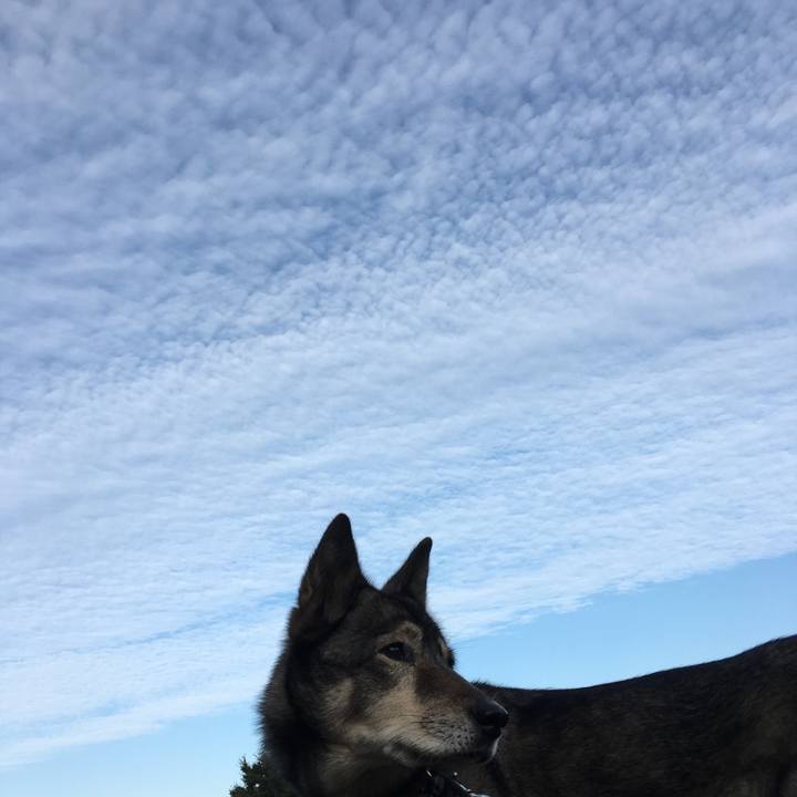 B280cb45 2d32 4d86 bd37 cff16d9f67bc 1509661321795