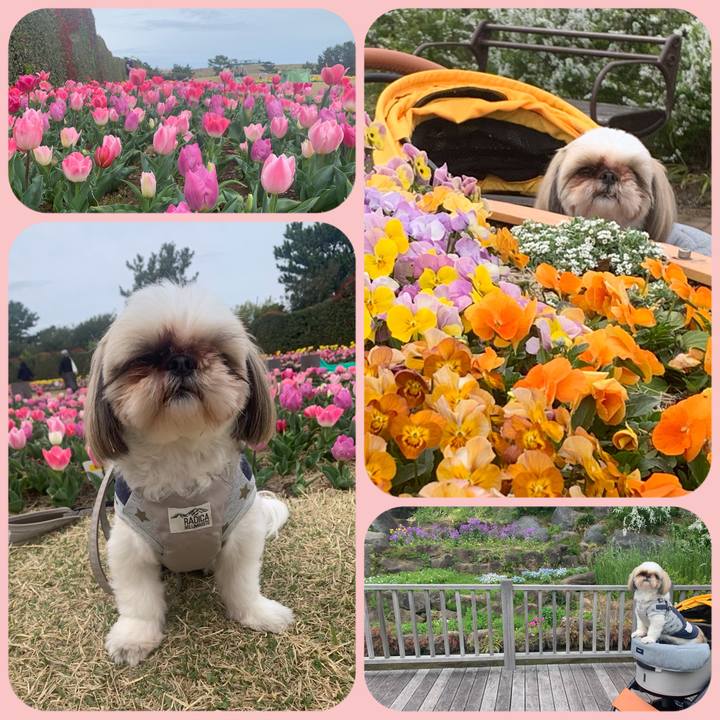 B280d484 6554 40bf 84cf 87ebe2f190bd 1679403945522