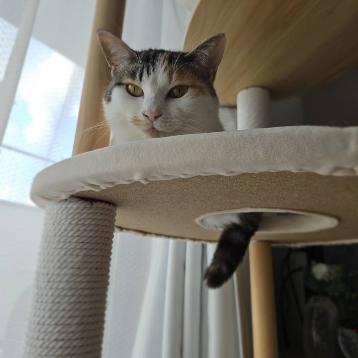 B2816aa1 66fc 45f5 8c33 908ffe18b634 1774664143929