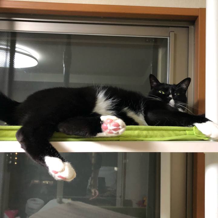 B2817048 1207 4974 a4a9 cbb3ddf5ac15 1564629569538