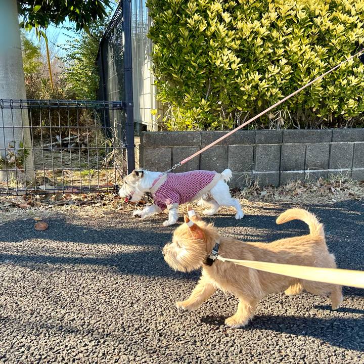 B281d3c3 1ffe 4fb8 a037 be4f35cb8d2f 1705241286347