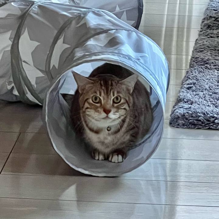 B281e1e2 6e49 4e8f 93bf afd644e56c02 1697581644188