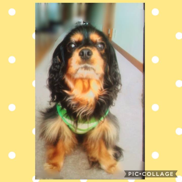 B28203dc ee87 4408 8df0 073acbcda91e 1562834031384