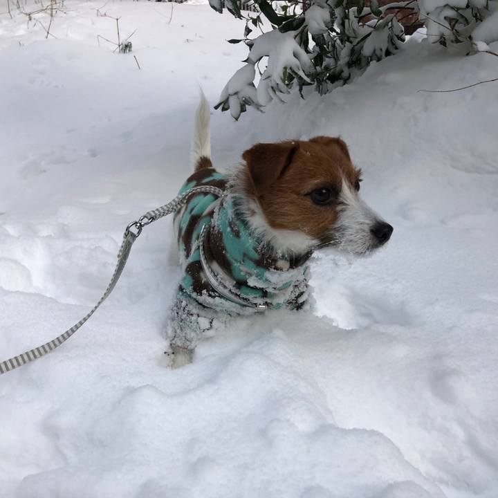 B28203ed 953c 4c94 a678 b3c46bf8a74d 1541904814843