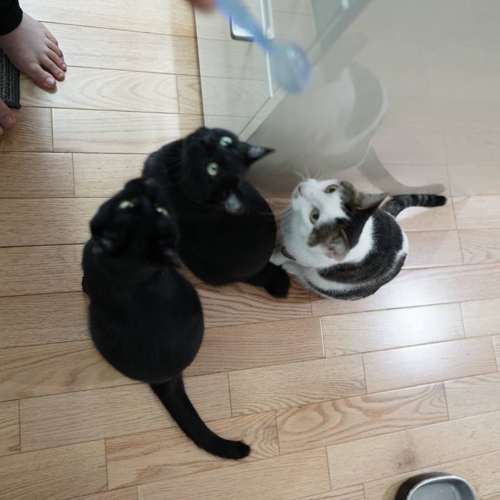 B28249f2 7b18 4aee b2c9 07ea17438427 1558305376318