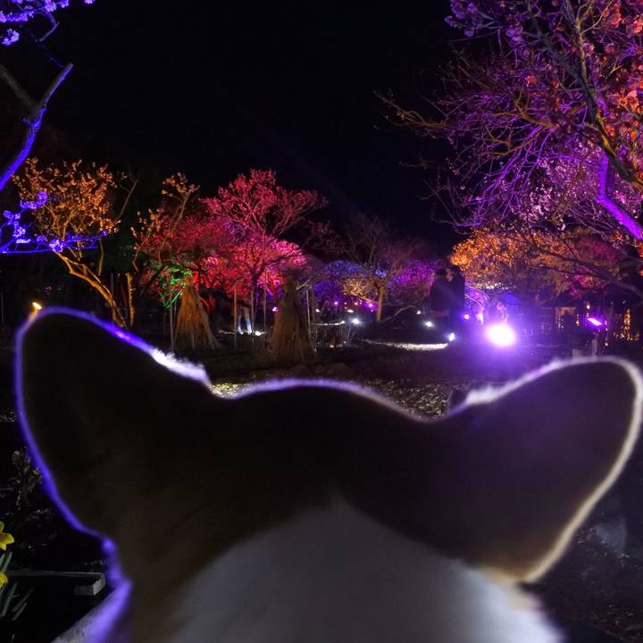 B2824dcc cf1b 4ba7 98bf fbab67cc6a3c 1648995563800