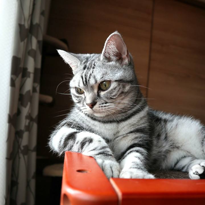 B282b68a 383e 4bfa 9add f6cbc7816ac0 1604361422426