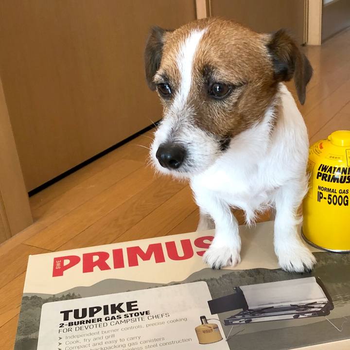 B282c016 61cf 410f b3b1 31f6742d4160 1516883069628