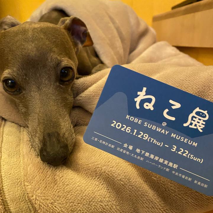 B282ccb9 959e 4a89 87f4 6070aa952dfd 1771063411438