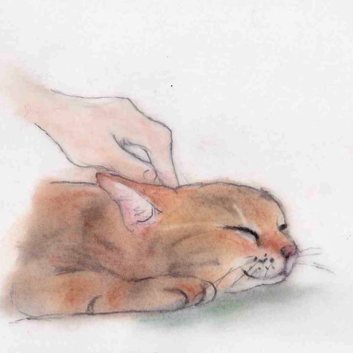 B282ceaf a345 4ab0 b602 d64e47d302aa 1630675895081