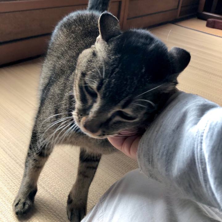 B282ecf3 63dc 401d a4d2 d3e1f5a1fb5a 1737182824396