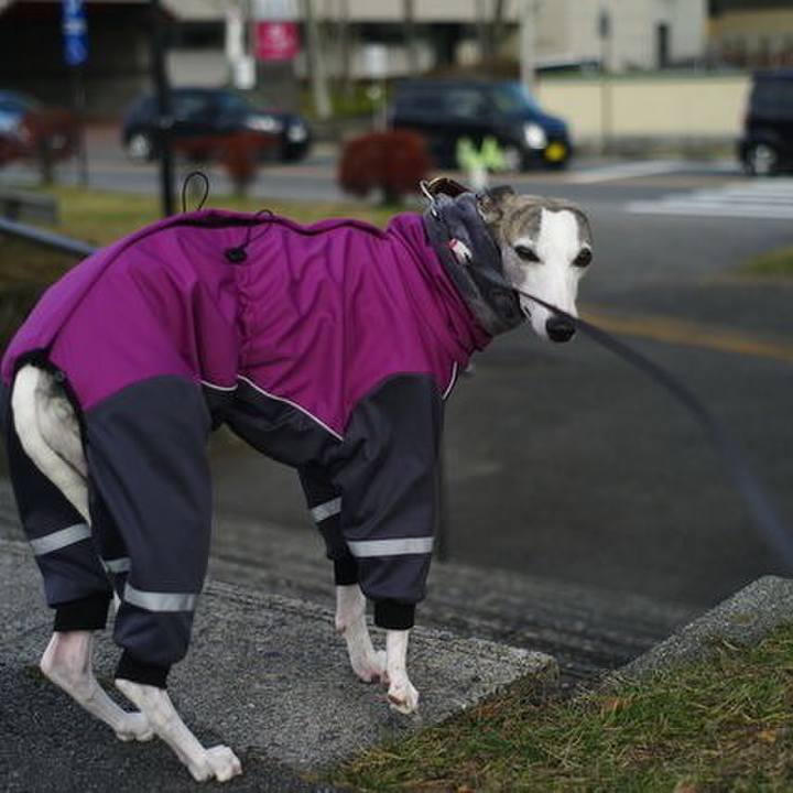 B2830d6c 840e 4643 a314 0ef5796b94eb 1513614462411