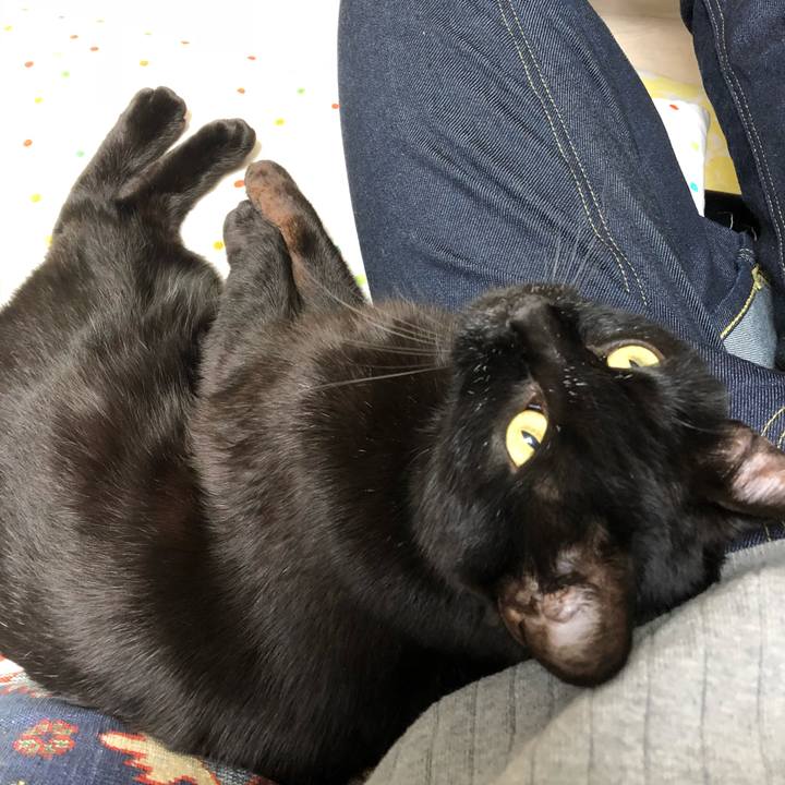 B283319e 35a5 4de3 9816 65a1a4298a17 1515418288880