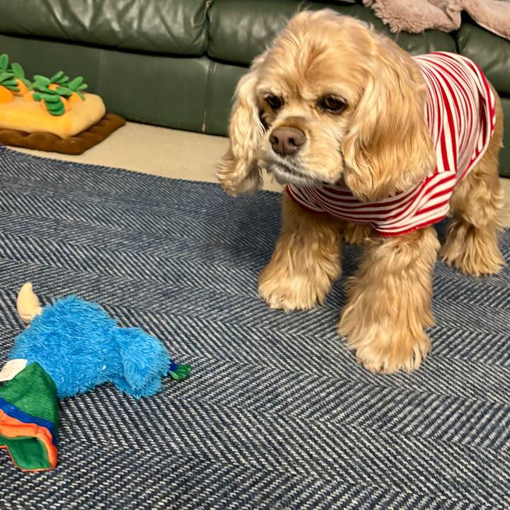 B283505c 68fb 4482 9a37 0a0c7a85e99c 1767190569215