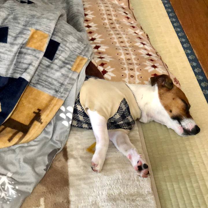 B283815a 4c93 403c 9f87 520ca060da72 1585283342527