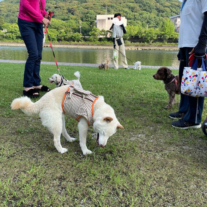 B283a1d5 7b72 4e39 b4e7 b6600e5cbd10 1655904251635