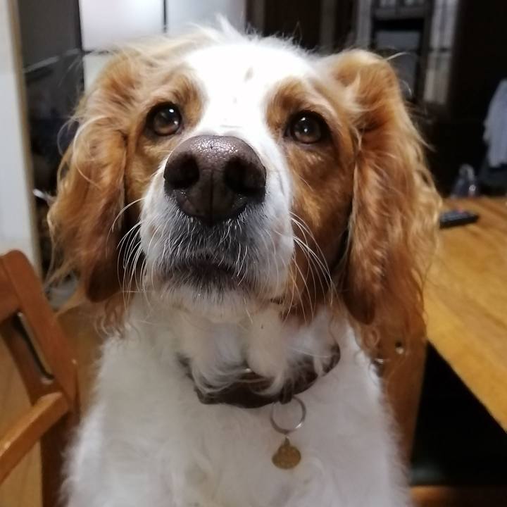 B283b26e 5fad 477a 90d2 1c48f3ba7e5c 1574381816669