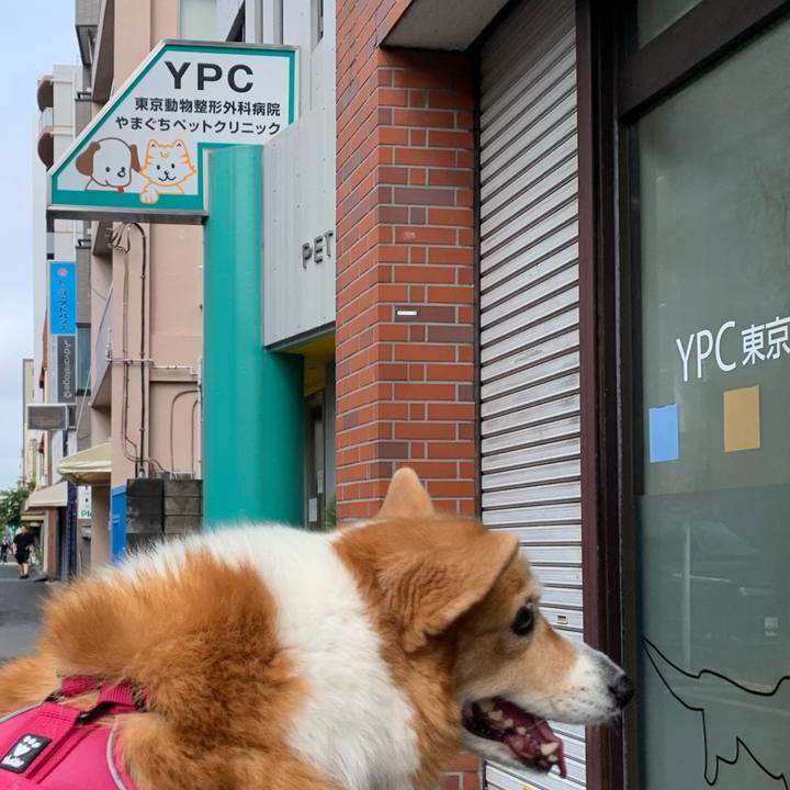 B283bc25 d5ff 43f3 828b c6ca9d9af169 1725062702301