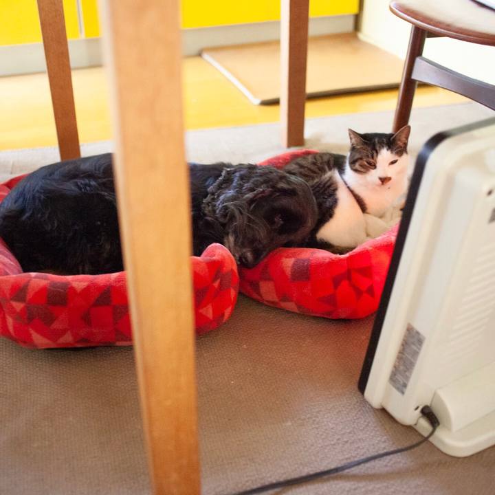 B283c9ee 28a1 4f65 b4aa cfe60caef097 1577194975994