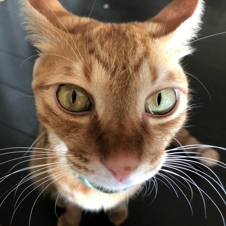 B284099c 229e 4a6c 86b5 967516a3a182 1637384720028