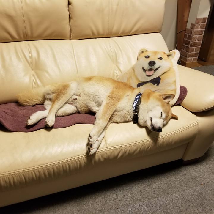 B2842887 94c7 4f2e bf35 e0c3673e2ebd 1657196313764